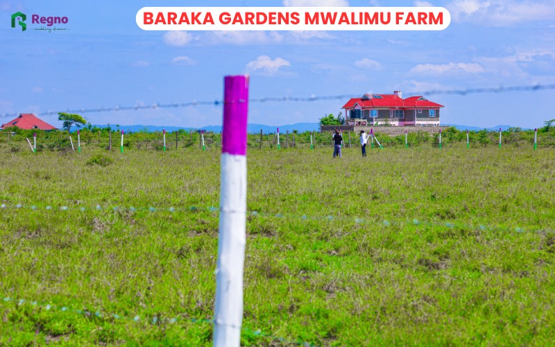 Plots for sale in Mwalimu Farm